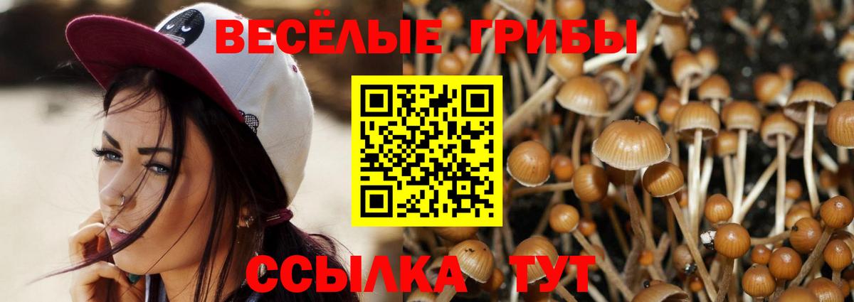 Галлюциногенные грибы Psilocybe  Псилоцибиновые грибы Cubensis  Вход с VPN  Мценск 